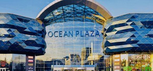 Швырнули в металлодетектор: охранники ТРЦ Ocean Plaza накинулись на посетителя за отсутствие маски
