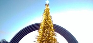 Еще одна красавица: возле Арки Дружбы народов устанавливают новогоднюю елку