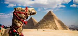 Взяли под контроль: Египет ужесточил правила въезда для украинцев