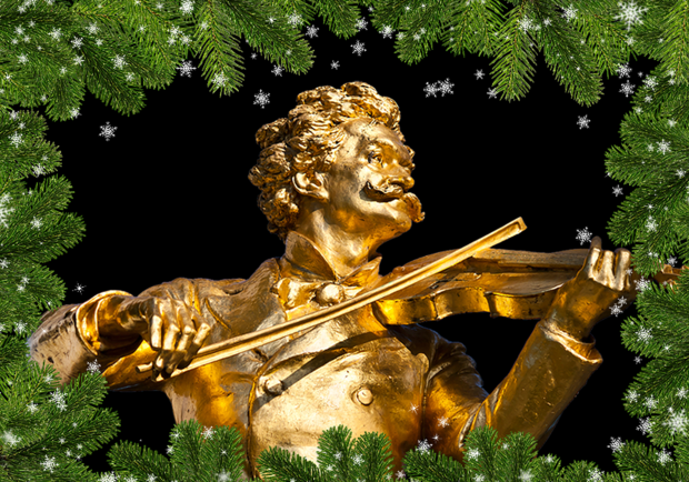 Новогодний концерт «Штраус в оперетте»