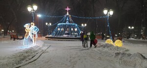 Налюбуешься: фонтан в Мариинском парке превратили в елку