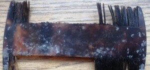 Принадлежал графине Канкриной: в селе под Запорожьем нашли старинный гребень