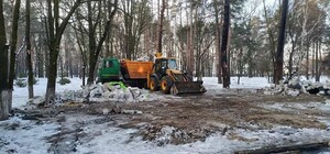 Отвоевали: в Парке партизанской славы снесли незаконный ресторан