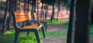 На Отрадном построят новый сквер: 