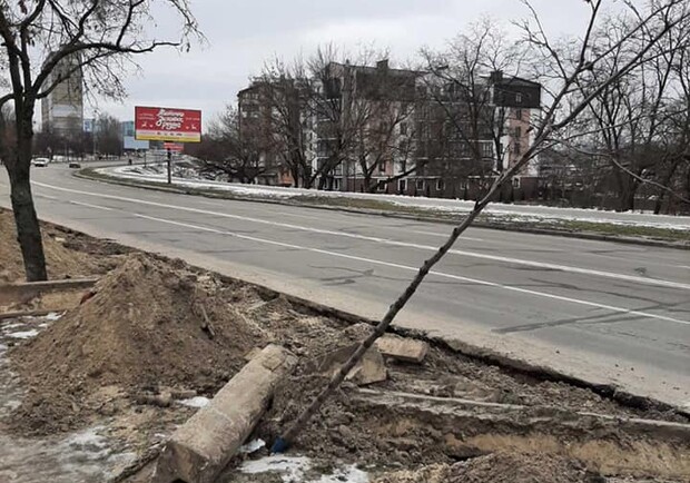 Проложили кабель: на Радужном работники ДТЭК повредили новые деревья - фото