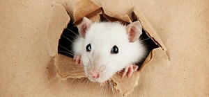 Спала посреди торгового зала: в одесской 