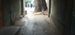 Прощай, дерево: на Торговой продолжают спиливать 