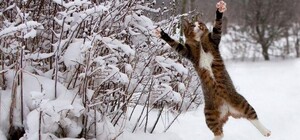 Будь в курсе: какая погода ждет киевлян на выходных