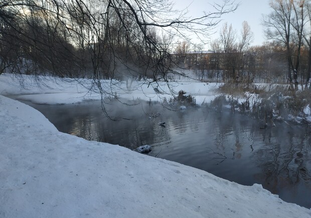 В Голосеевском парке сливают отходы в пруды. Фото: Маруся Живина