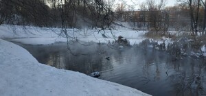 Испарения и вонь: в Ореховатские пруды опять сливают отходы