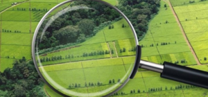 Повысили: харьковский чиновник возглавил Госгеокадастр