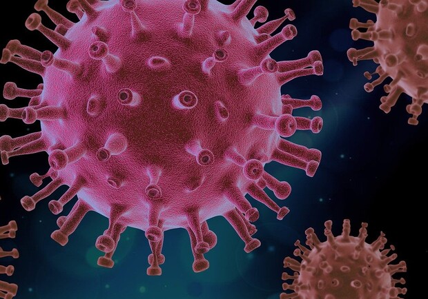 В Украине обнаружили "британский" коронавирус. Фото: pixabay