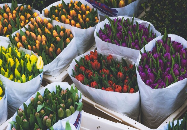 Сколько стоят цветы к 8 марта - Фото: unsplash