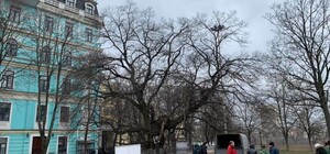 Дорожат историей: в Киеве 