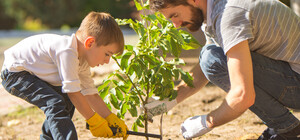 Посади дерево: музей Пирогово приглашает принять участие в акции ко Дню Земли