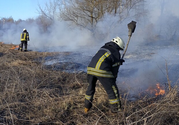 Пожар на сухой траве. Фото: ГСЧС Украины в городе Киеве
