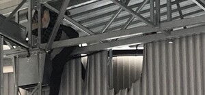 Так себе игры: в парке 