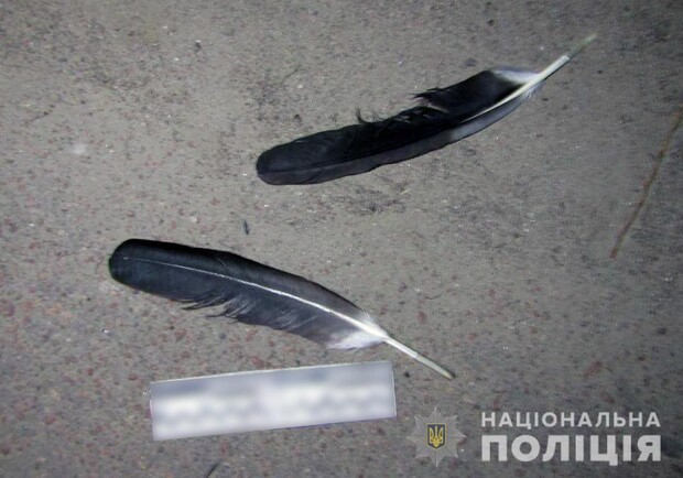 В Василькове мужчина резвлечения ради застрелил аиста. Фото: пресс-служба полиции Киевской области