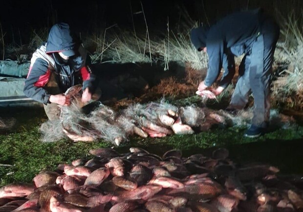 Под Киевом незаконно выловили более полутоны рыбы. Фото: пресс-служба полиции Киевской области