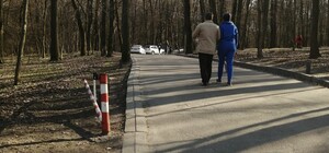 Правила не писаны: автохамы снесли новые шлагбаумы в Голосеевском парке