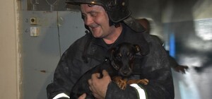 Подгоревшие блинчики и спасение собаки: в Одессе тушили два пожара