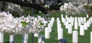 Когда поминать будем? Столичные власти составили график поминальных дней