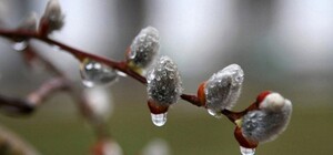 Не прячь куртку: в Одессе ожидаются заморозки 