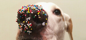 Пасха на носу: какая погода ждет запорожцев на праздничных выходных