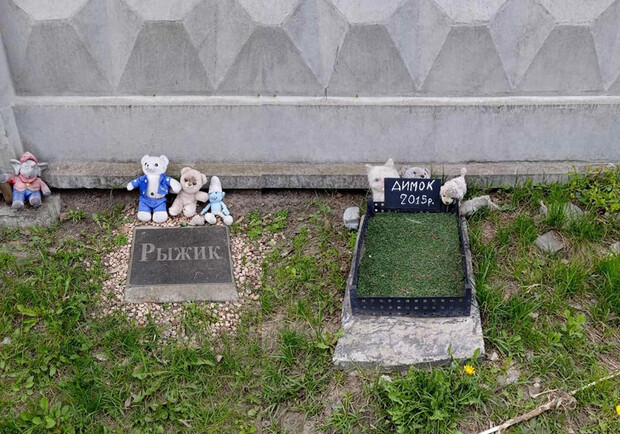 На Позняках демонтируют кладбище домашних животных. Фото: Киевзеленстрой
