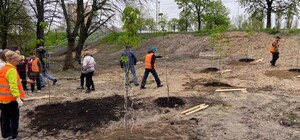 Проезда не будет: на Отрадном озеленили место, где пытались проложить дорогу