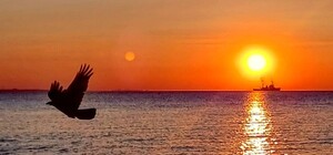 Майские закаты и рассветы: посмотри, как прекрасна Одесса