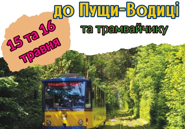 Афиша - Экскурсии - экскурсия на трамвайчике кафе в Пущу Водицу