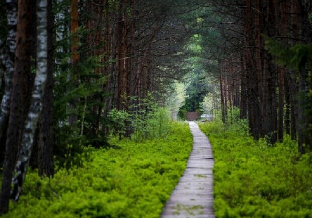 Голосеевскими тропами - фото