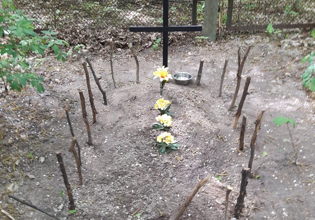 На Теремках нашли незаконное кладбище домашних животных. Фото: Сергей Слабоус
