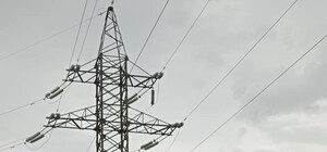 Все в крови: на проспекте Поля на женщину с собакой рухнули осколки с ЛЭП