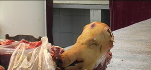 В киевских мясных павильонах можно нарваться на бродячих собак