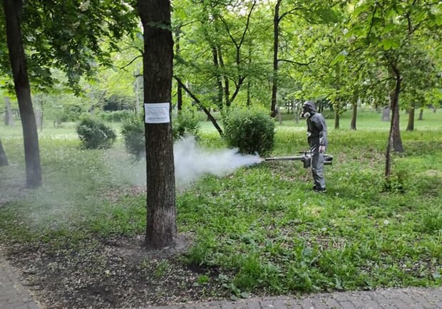 Киевские парки обработали против клещей. Фото: КП Днепровского района