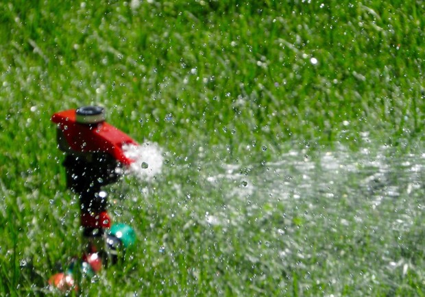 Зачем на Левобережной поливали газон в дождь. Фото: pixabay