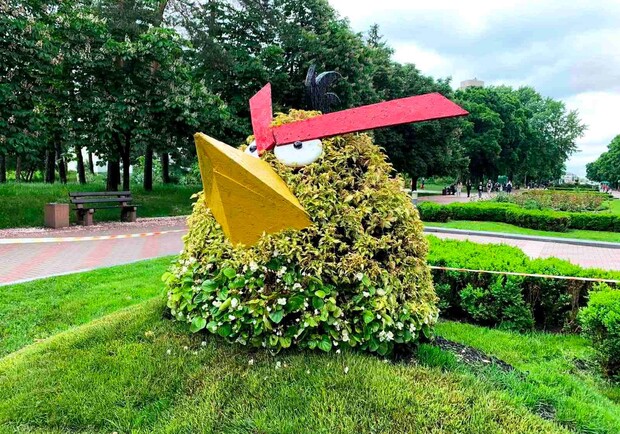 В парке "Победы" откроется новая выставка цветов. Фото: "Киевзеленбуд"