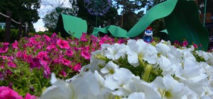 Губка Боб, смурфик и Angry birds: в парке 