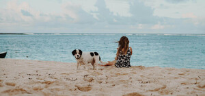 Зонт не пригодится: какая погода в Запорожье и на курортах Азовского моря