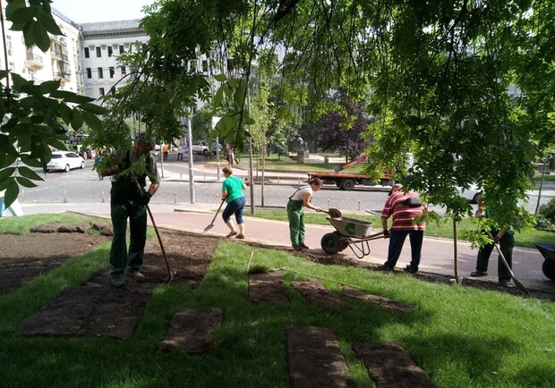 В сквере на Прорезной вырезали здоровые кусты и деревья в пользу других растений. Фото: Галина Алавердова.