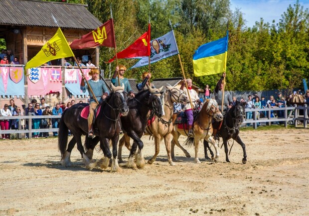 Под Киевом ко Дню Конституции пройдет конно-историческое шоу - фото