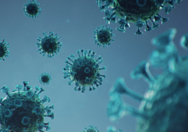 Выдыхаем: медики опровергли информацию о наличии штамма 