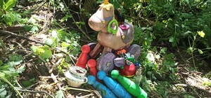 Скульптура из мусора: активисты убрали Голосеевский парк Инга Малко 