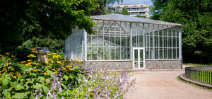 Ще більше квітів: у Стрийському парку відремонтують теплицю