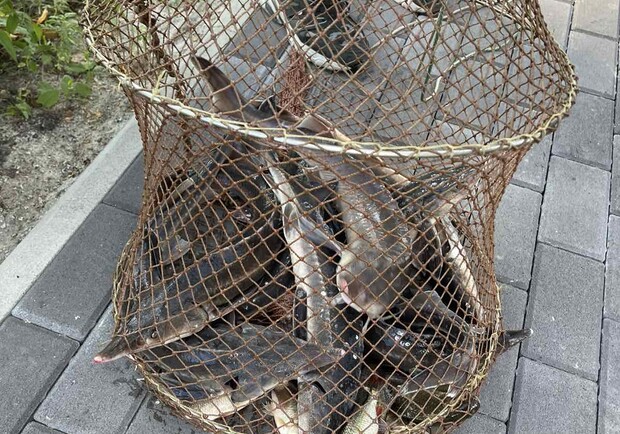 Фартовая рыбалка - фото