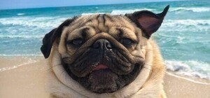 Чего ждать: какая погода будет в Запорожье и на курортах Азовского моря