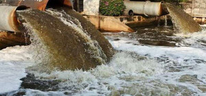 Пакеты, стекло и остатки продуктов: что в Киеве выбрасывают в канализацию