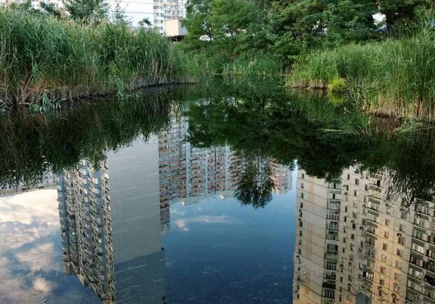 Зеленую зону вокруг озера Вулык на Позняках превратят в сквер. Фото: Киеврада